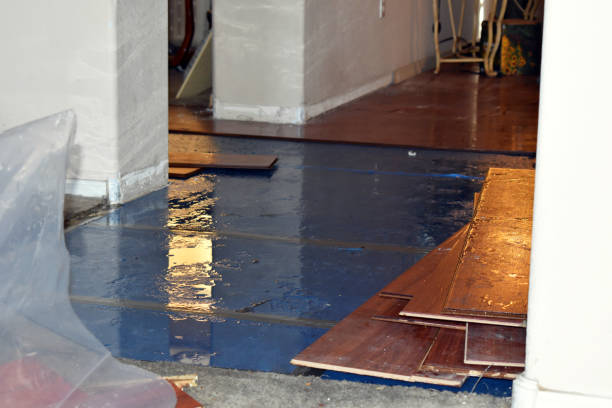 Professional Burst Pipe Cleanup technician working in Woolwich, ME